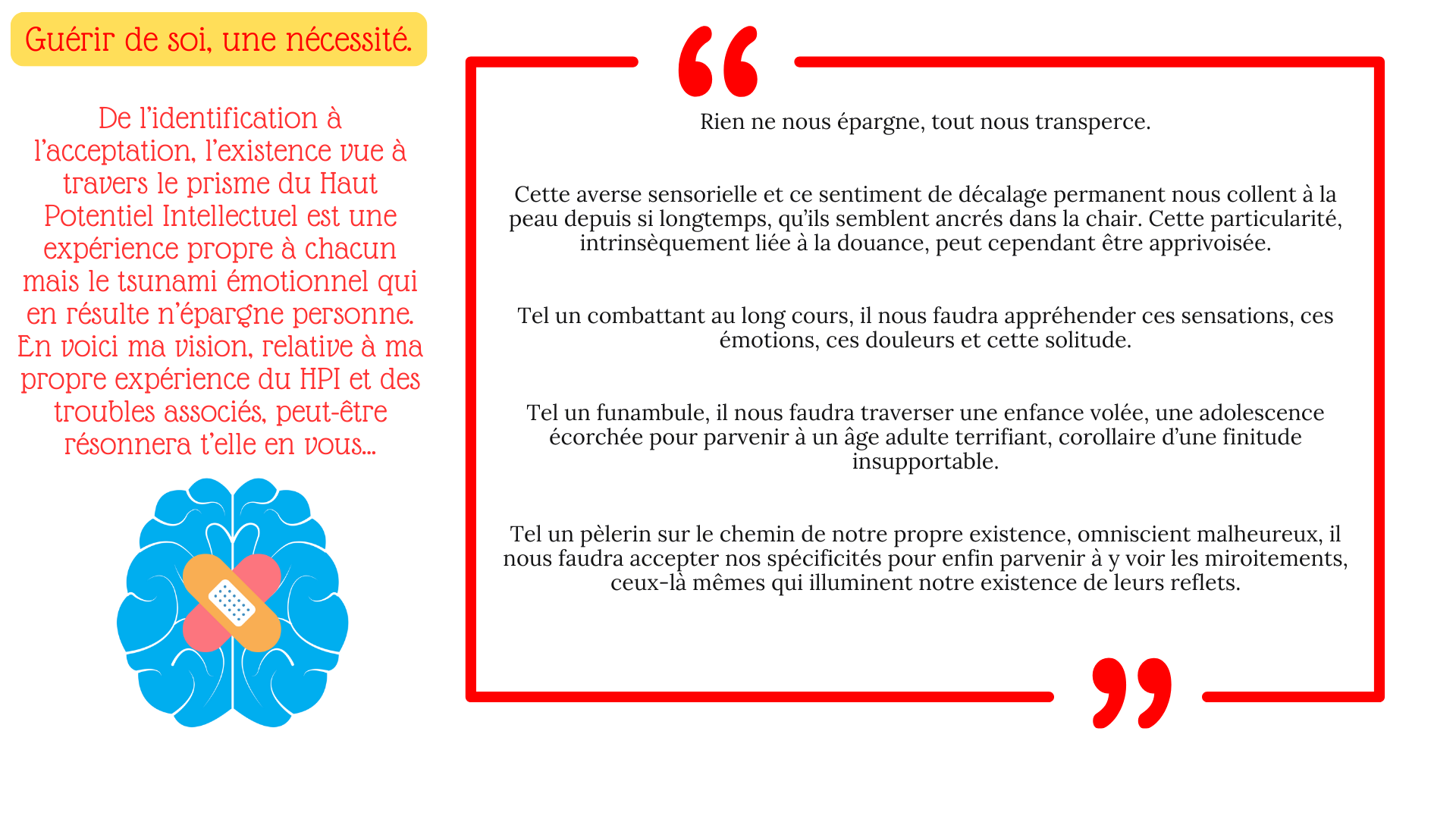 Texte sur le ressenti autour du Haut Potentiel par Alexandra Desnier psy et fondatrice du cabinet Potentialité Haut Potentiel Intellectuel et neuroatypies image cerveau bleu pansement rose et orange